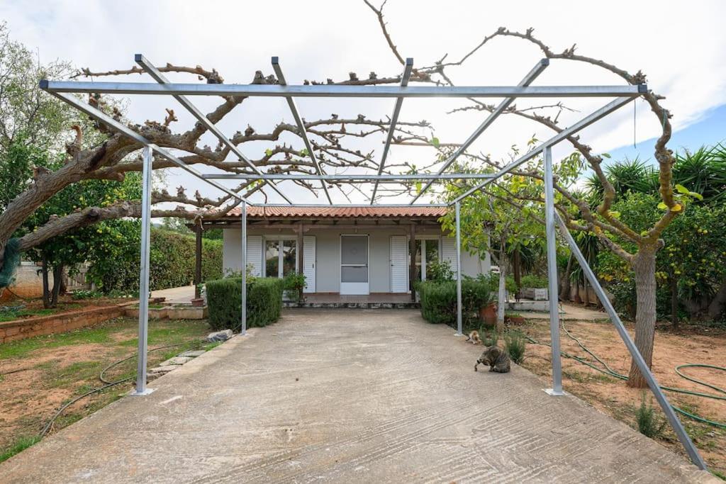 Farmbill Villa Markopoulo Mesogaias ภายนอก รูปภาพ