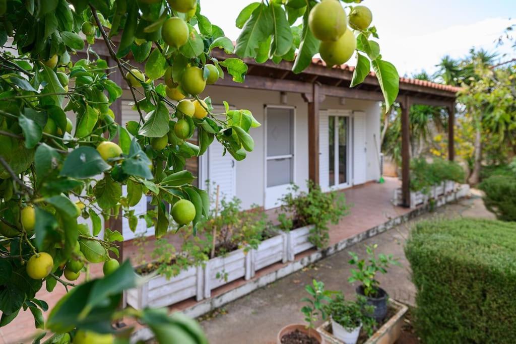 Farmbill Villa Markopoulo Mesogaias ภายนอก รูปภาพ